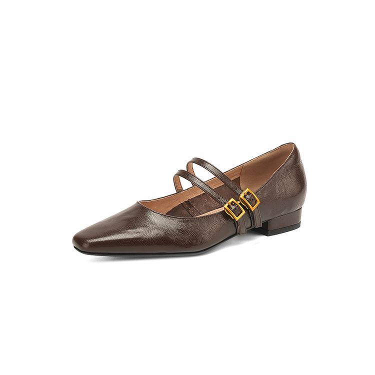 Brown Pointed-toe Flats