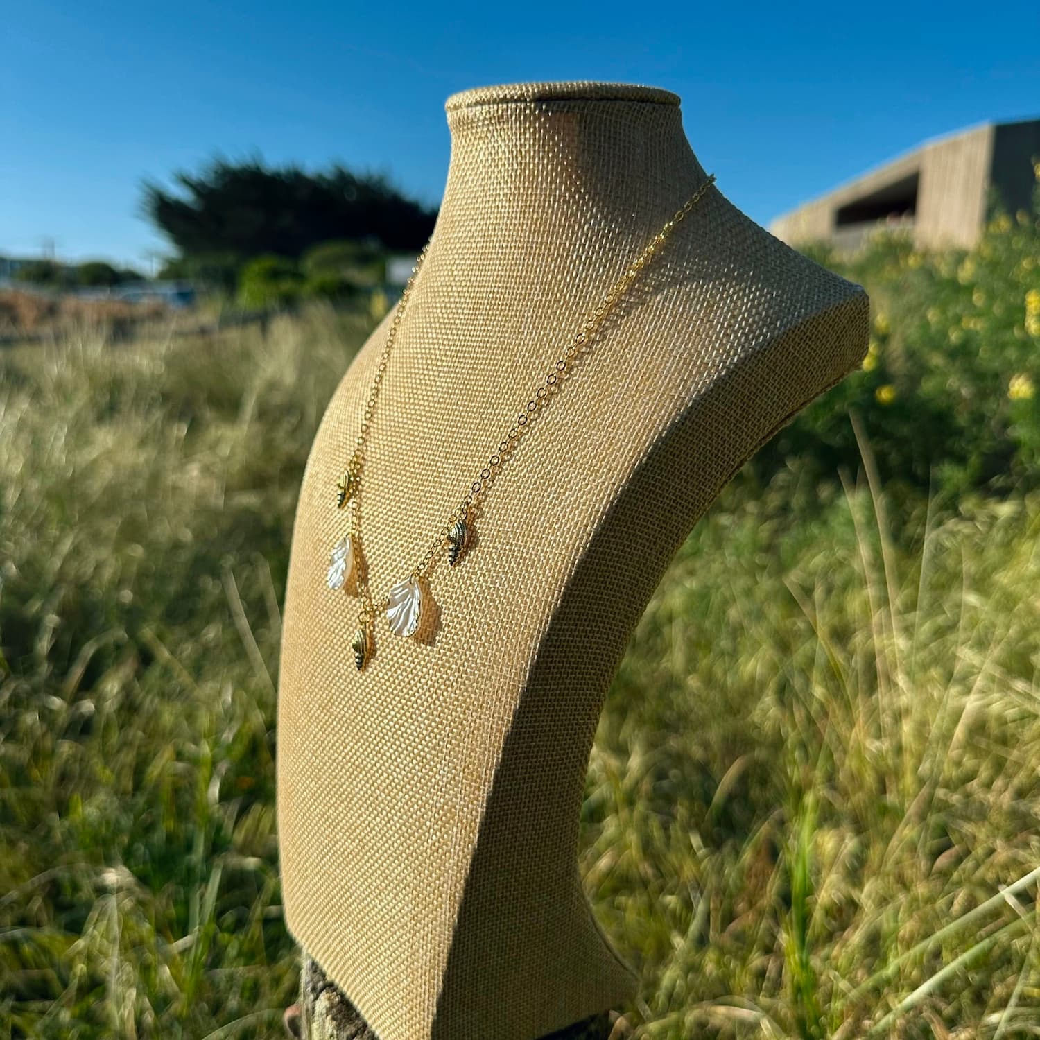 Coral Chain Necklace